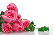 singles matchmaker gifts